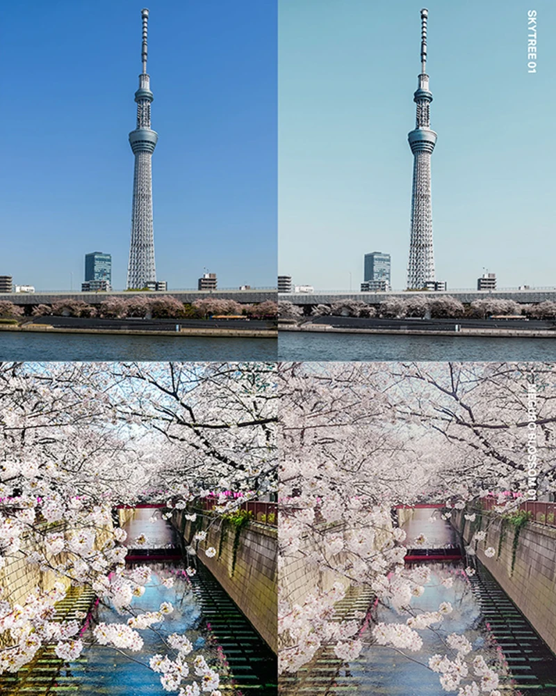 14 Tokyo Travel Lightroom Presets