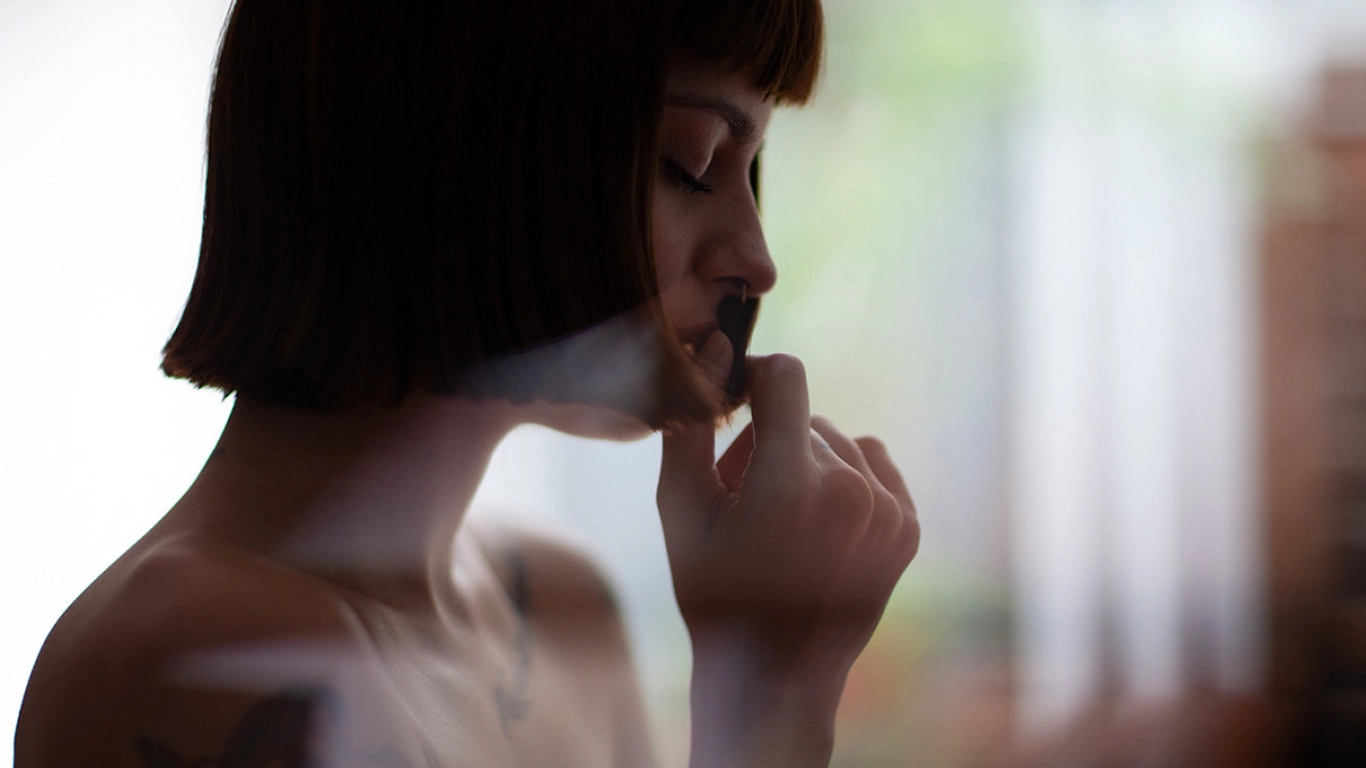 Dvlop - Joao Guedes - Diaries Presets - before_version_alt