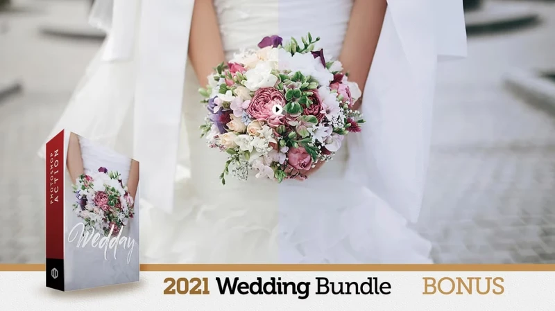 CreativeMarket 200 Wedding Presets Bundle 6172458