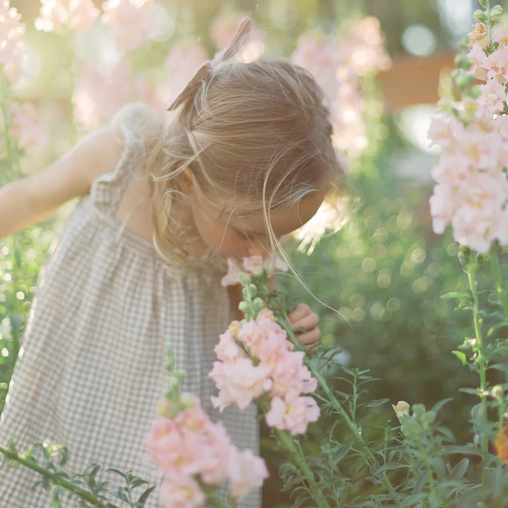 The Archetype Process Green Pack I – Lightroom Presets Collection