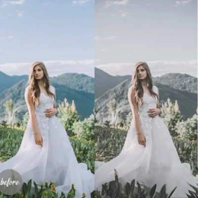 Wedding Presets Lightroom
