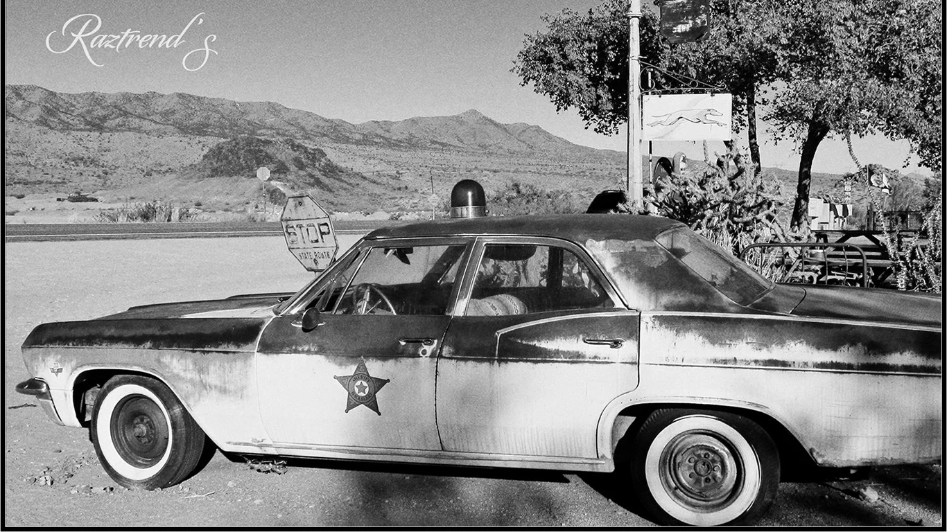 Eastman Kodak Black and White Films LUTs