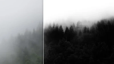 Lightroom Powerful Black White