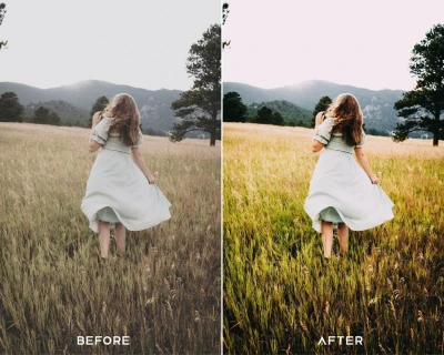 PresetsIO V Elopement Preset Collection