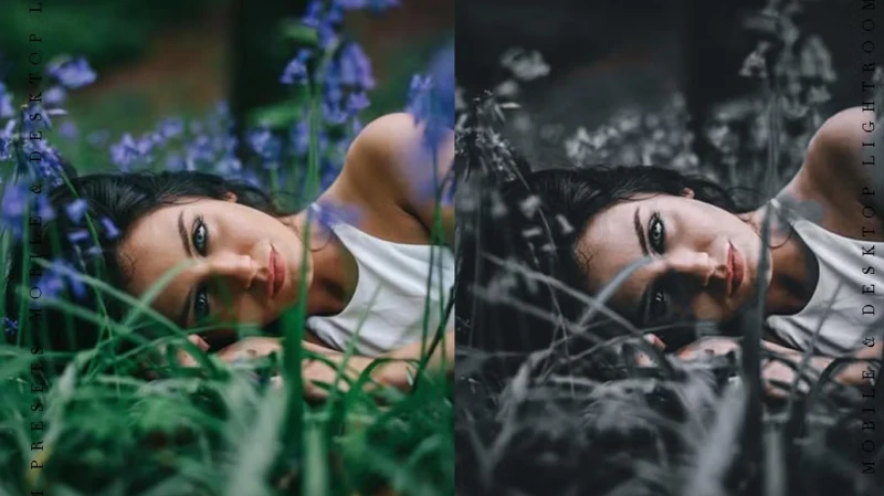CreativeMarket The Bundle 100 Lightroom Presets