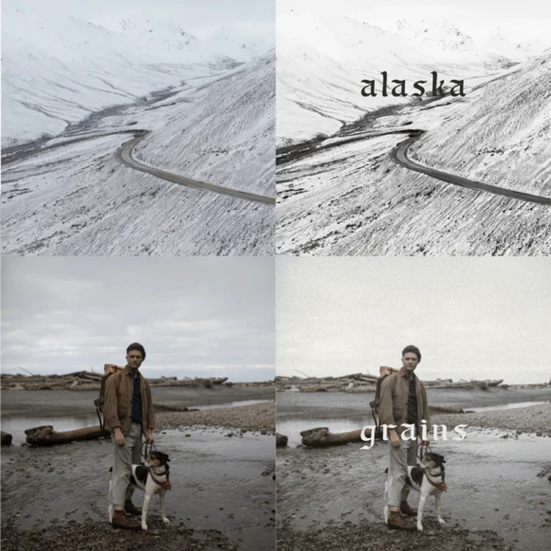 1924us x Elle May Watson Presets