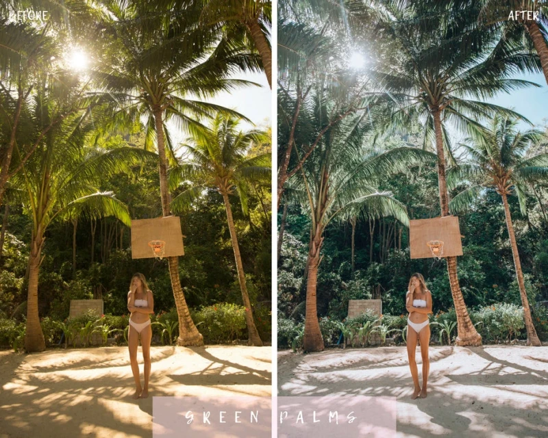 Haylsa and Kyle Philippines Preset Desktop Pack