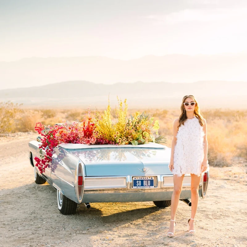 Kindred Presets The Mary Costa Collection