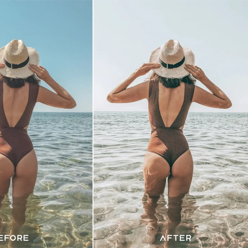 Presetsio Paradise Preset Collection