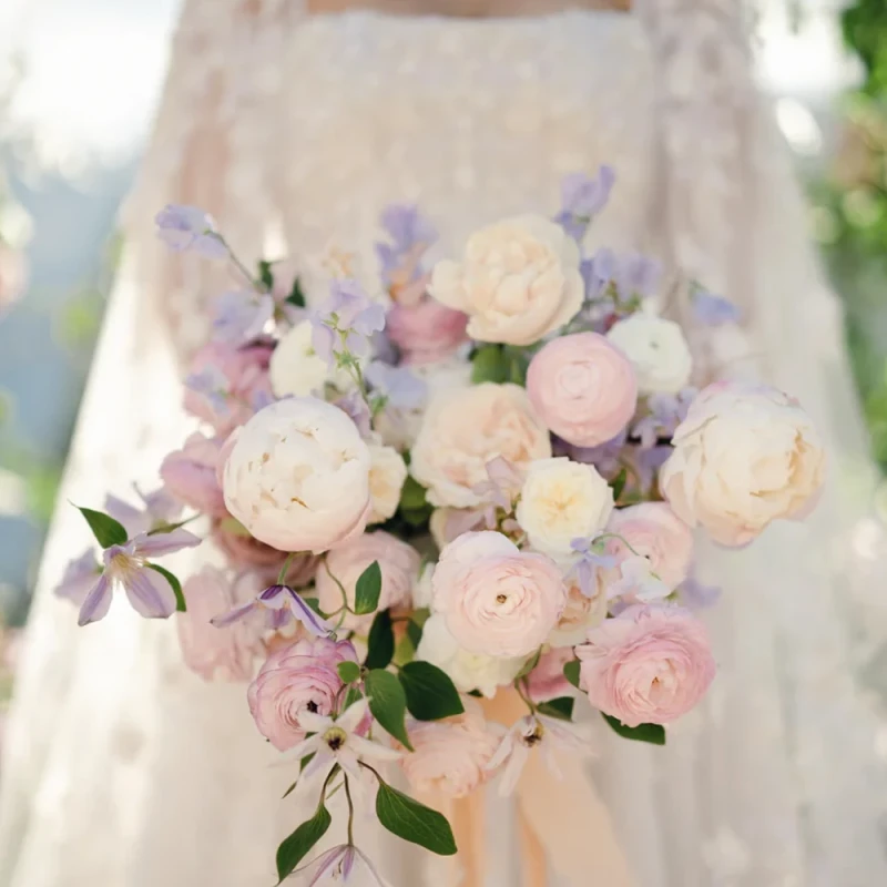 Refined x Caroline Tran Presets, Profiles & LUTs