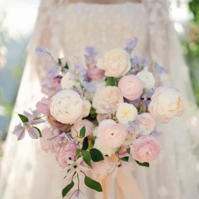Refined x Caroline Tran Presets, Profiles & LUTs