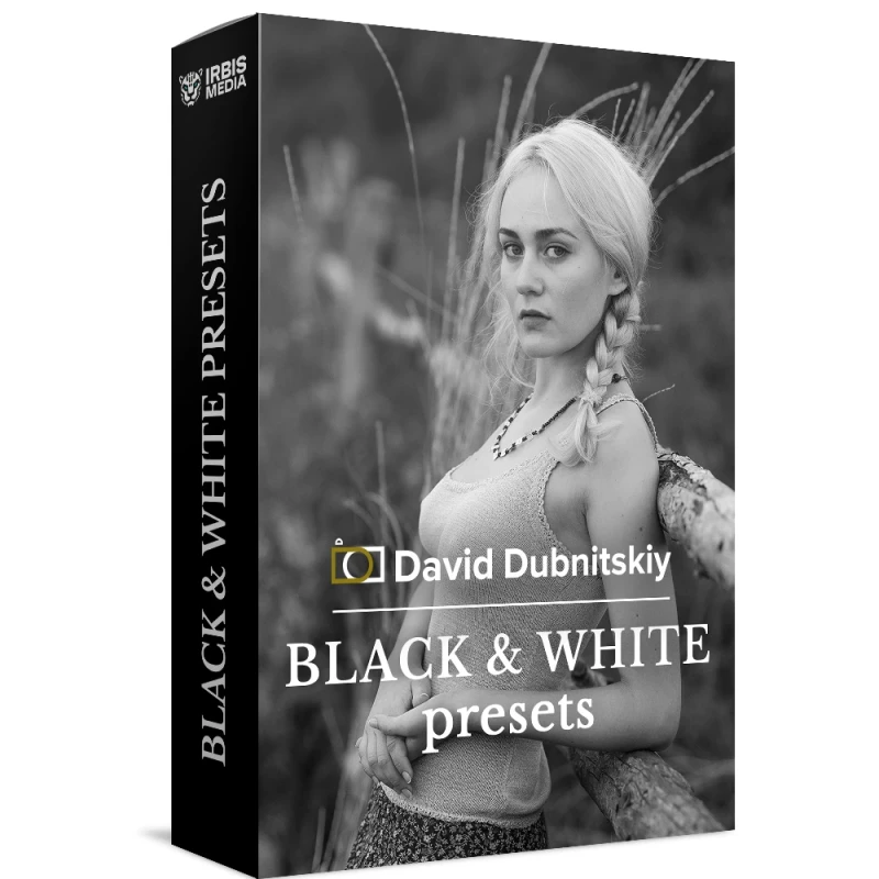 David Dubnitskiy Color Stories Presets Collection