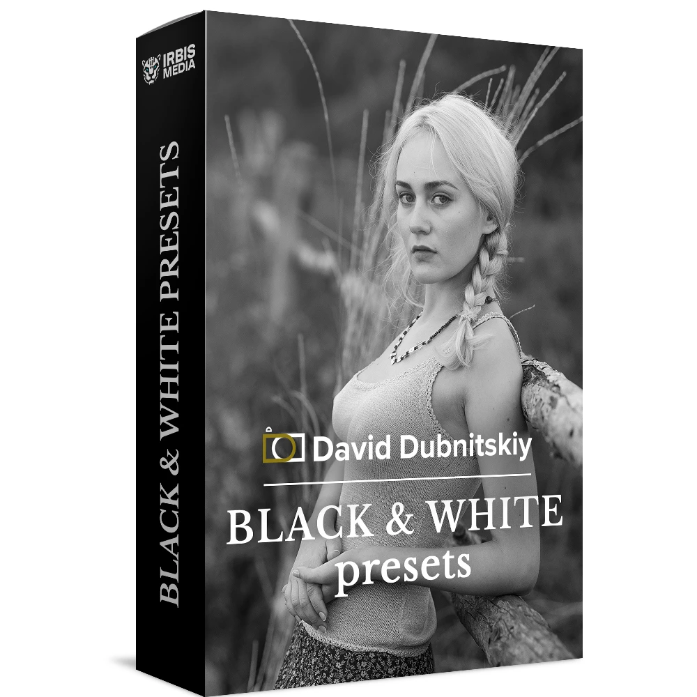 David Dubnitskiy Color Stories Presets Collection