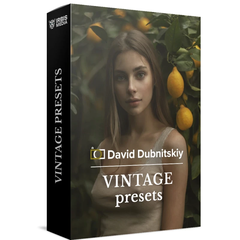 David Dubnitskiy Color Stories Presets Collection