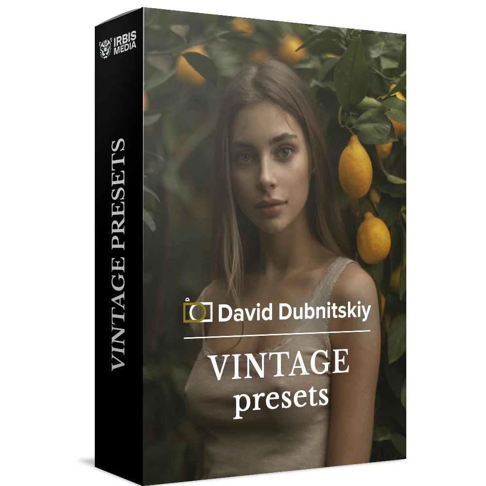 David Dubnitskiy Color Stories Presets Collection