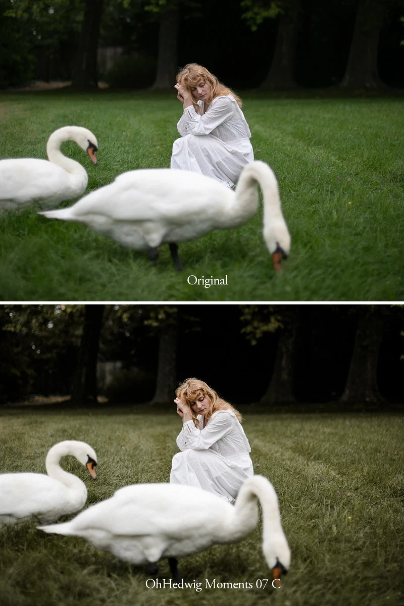 Oh Hedwig Moments Lightroom Presets
