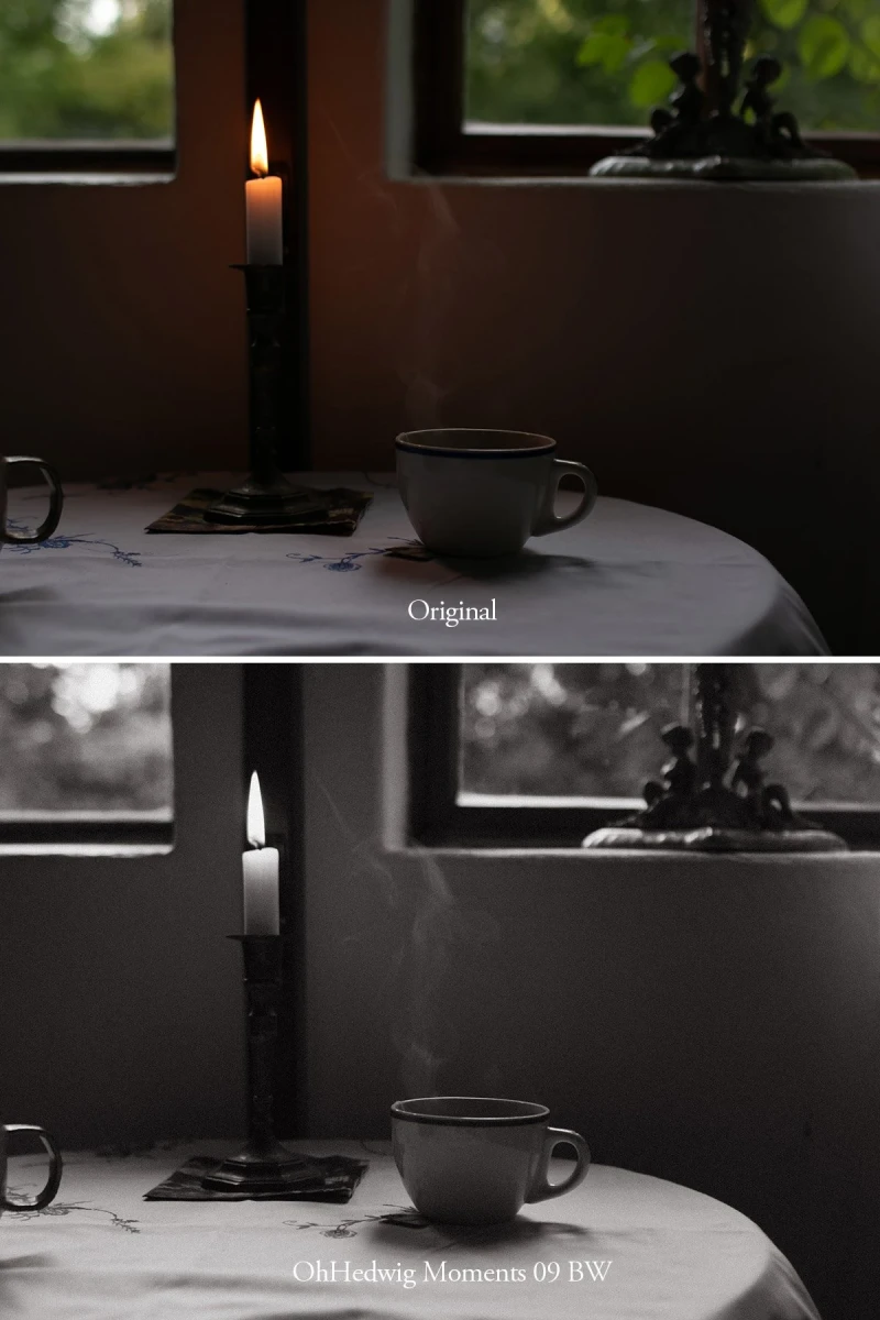 Oh Hedwig Moments Lightroom Presets