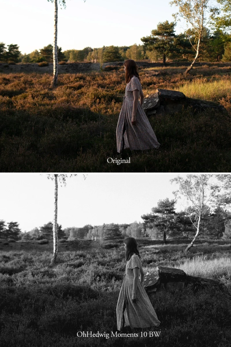 Oh Hedwig Moments Lightroom Presets