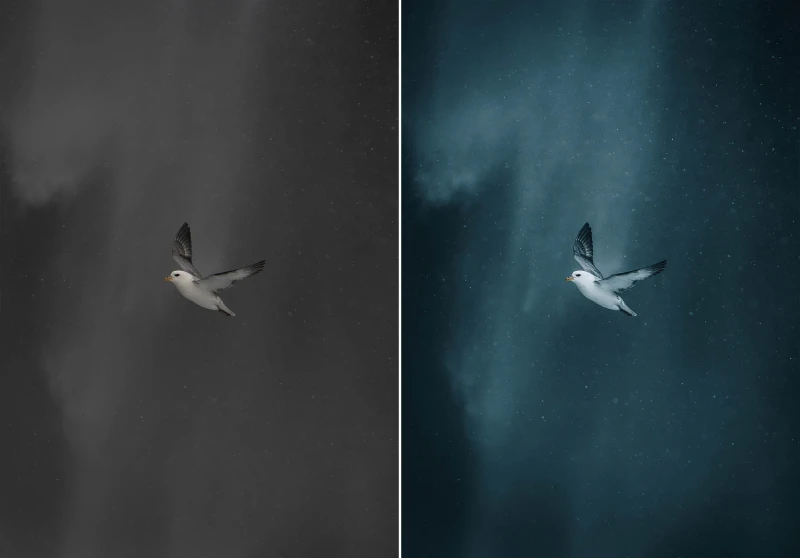 WithLuke Presets The Cinematic Collection