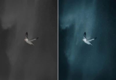WithLuke Presets The Cinematic Collection