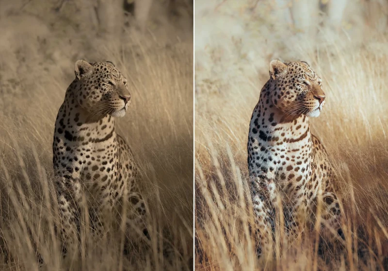 WithLuke Lightroom Presets The Master Collection