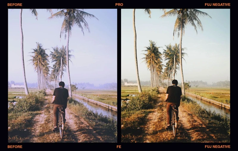 Presetpro Film Emulation Presets for Lightroom