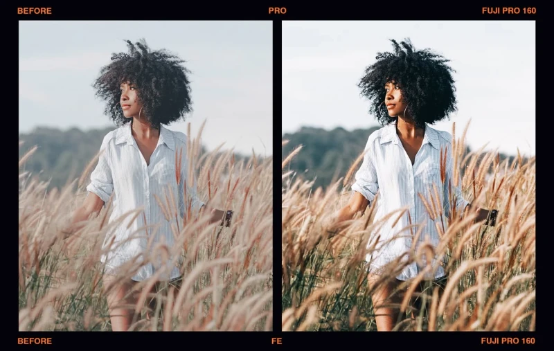 Presetpro Film Emulation Presets for Lightroom