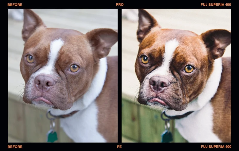 Presetpro Film Emulation Presets for Lightroom