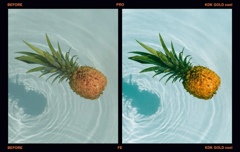 Presetpro Film Emulation Presets for Lightroom