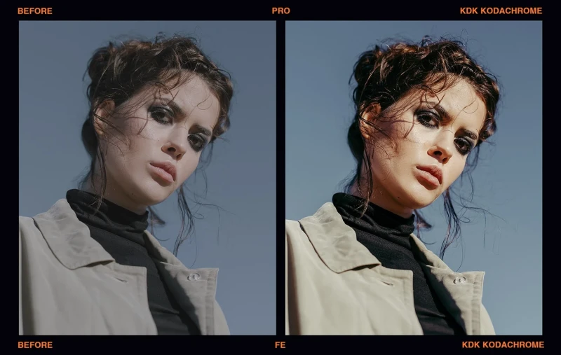 Presetpro Film Emulation Presets for Lightroom