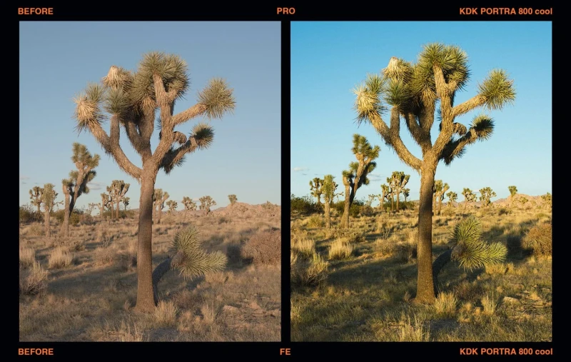 Presetpro Film Emulation Presets for Lightroom