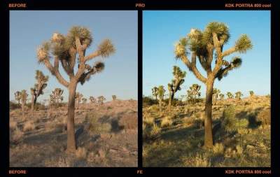 Presetpro Film Emulation Presets for Lightroom