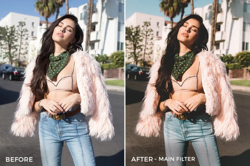 Sam Dameshek Lightroom Presets