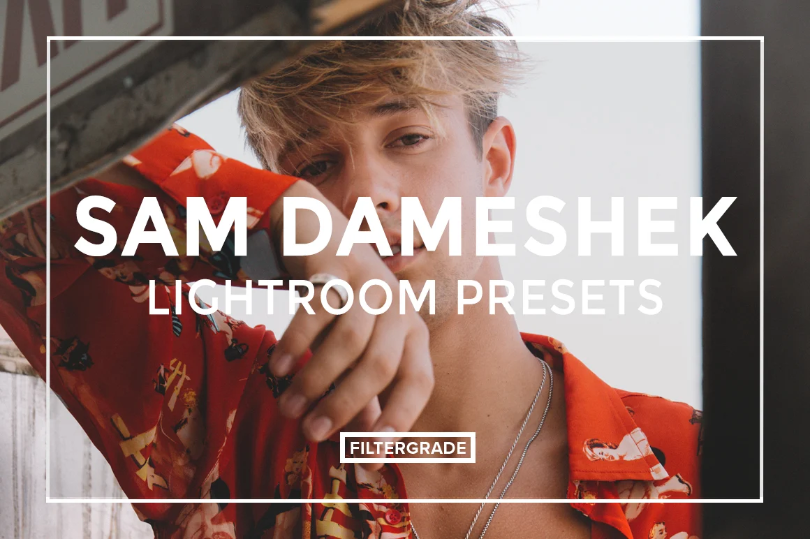 Sam Dameshek Lightroom Presets