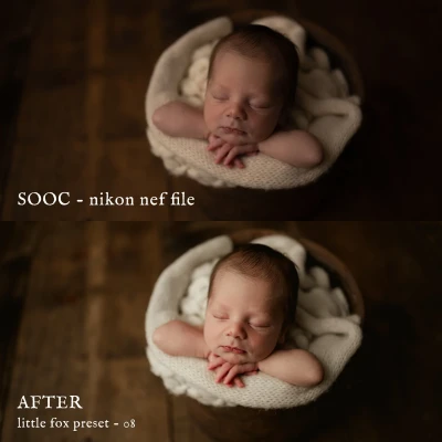 Jessica G Little Fox Lightroom Presets