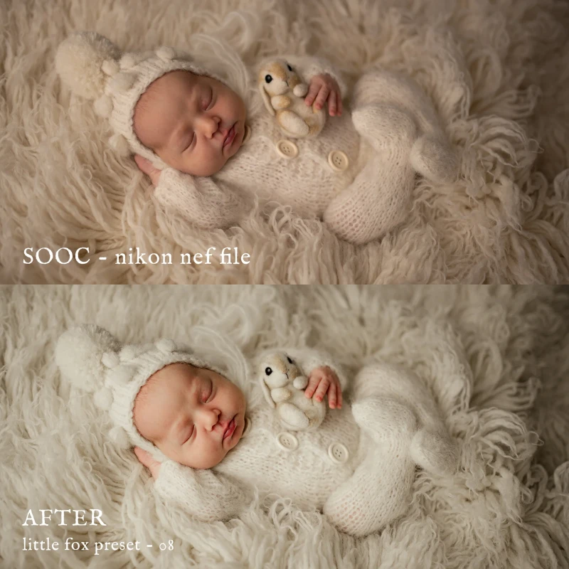Jessica G Little Fox Lightroom Presets