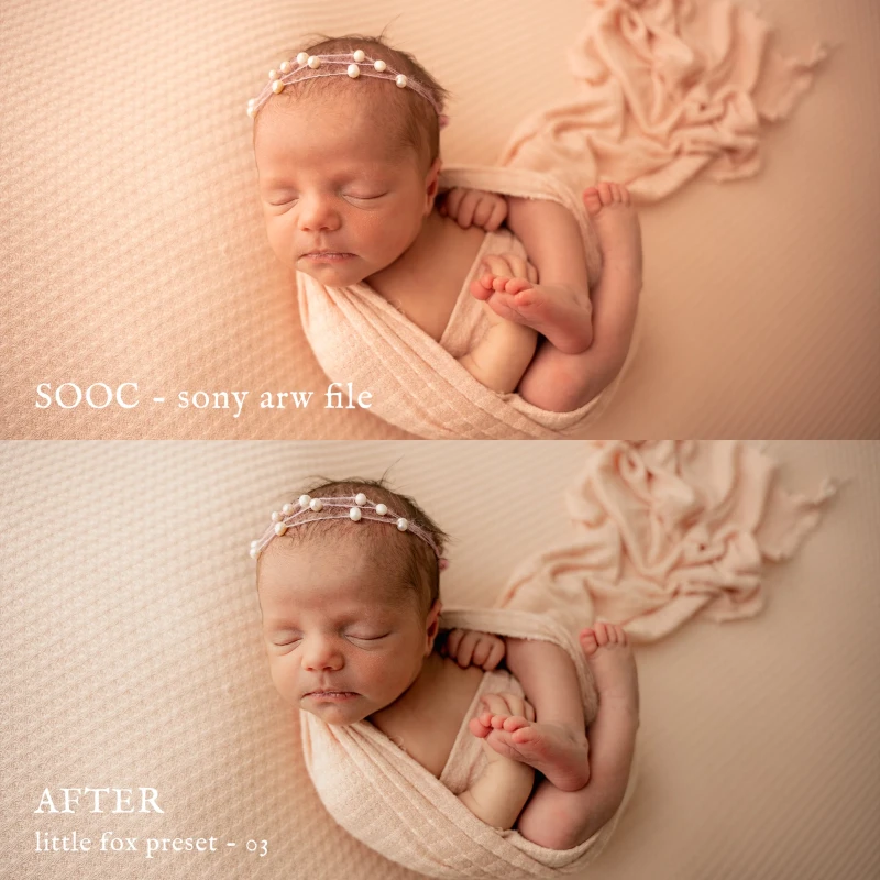 Jessica G Little Fox Lightroom Presets