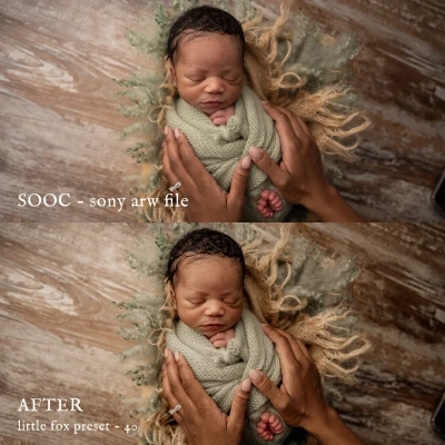 Jessica G Little Fox Lightroom Presets