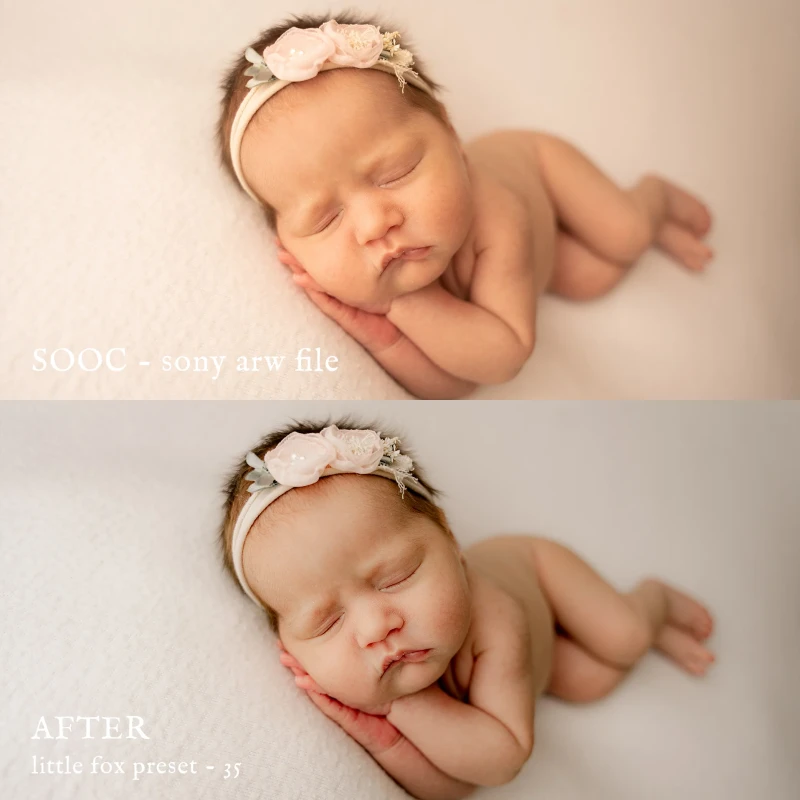 Jessica G Little Fox Lightroom Presets
