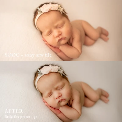 Jessica G Little Fox Lightroom Presets