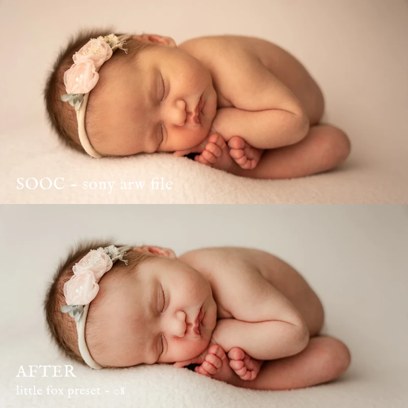 Jessica G Little Fox Lightroom Presets