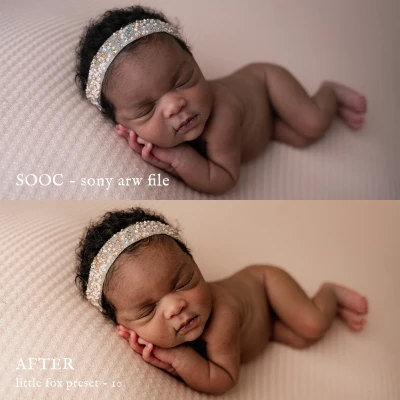 Jessica G Little Fox Lightroom Presets
