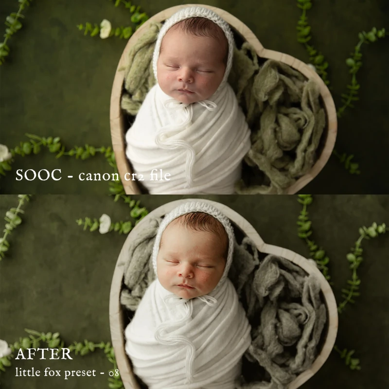 Jessica G Little Fox Lightroom Presets