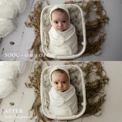 Jessica G Little Fox Lightroom Presets