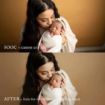 Jessica G Little Fox Lightroom Presets