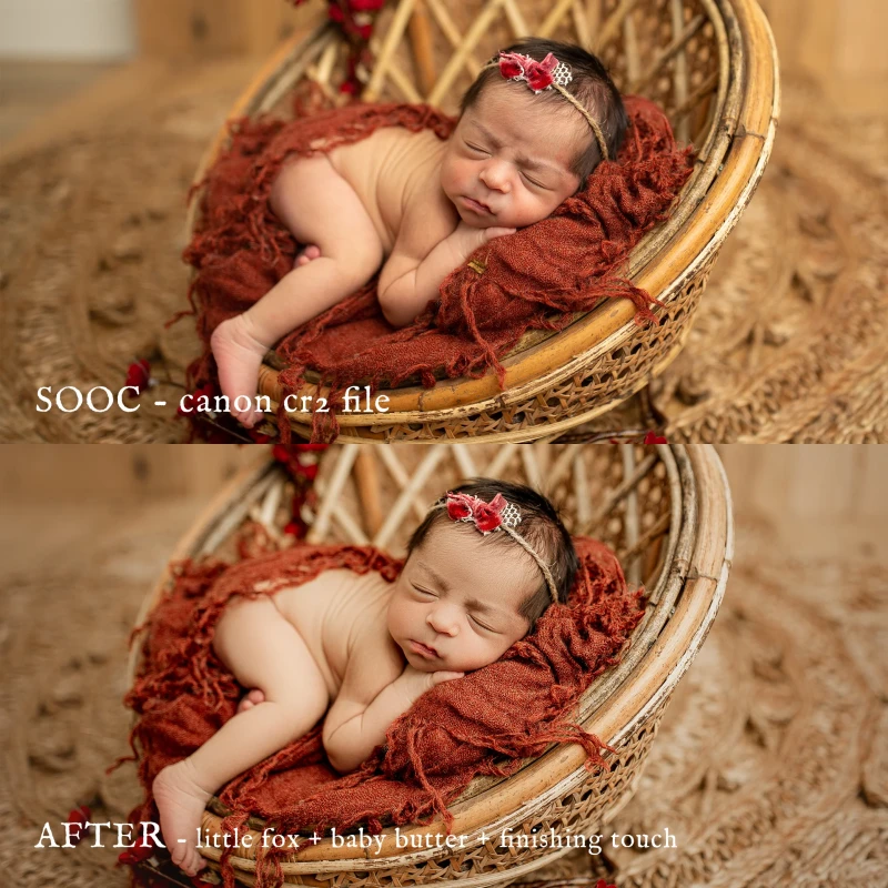 Jessica G Little Fox Lightroom Presets