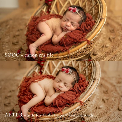 Jessica G Little Fox Lightroom Presets