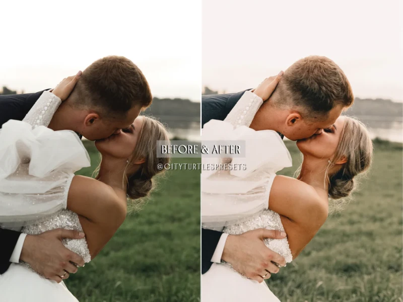City Turtles Presets Essentials Photography Lightroom Bundle