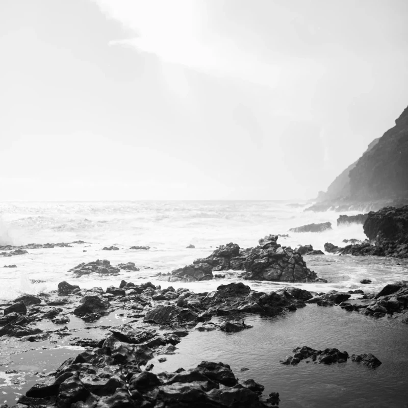 The Archetype Process TAP Monochrome Pack
